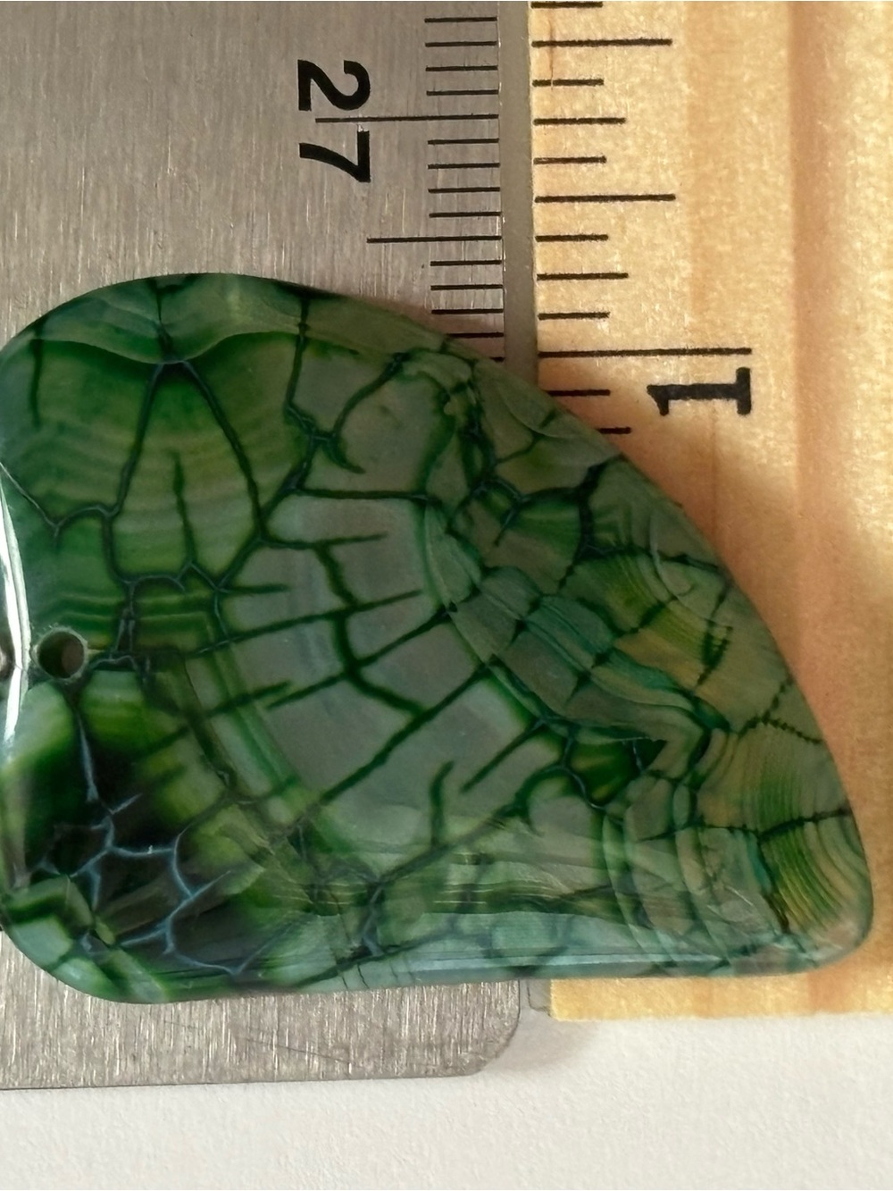 Close Up Vein Stem Leaf Phototropism Color Rock - Picture 5 of 16